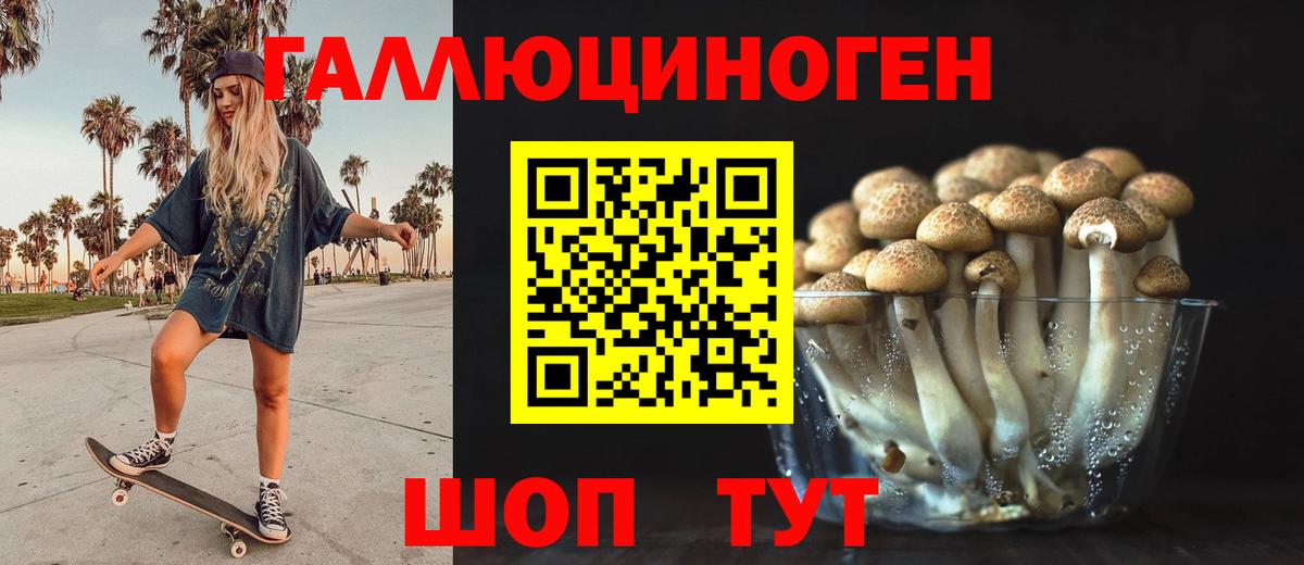 Галлюциногенные грибы прущие грибы Владимир